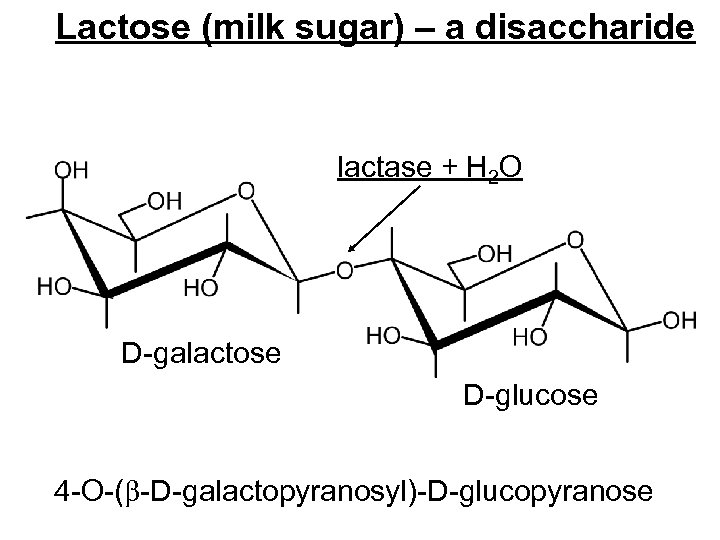 Lactose (milk sugar) – a disaccharide lactase + H 2 O D-galactose D-glucose 4