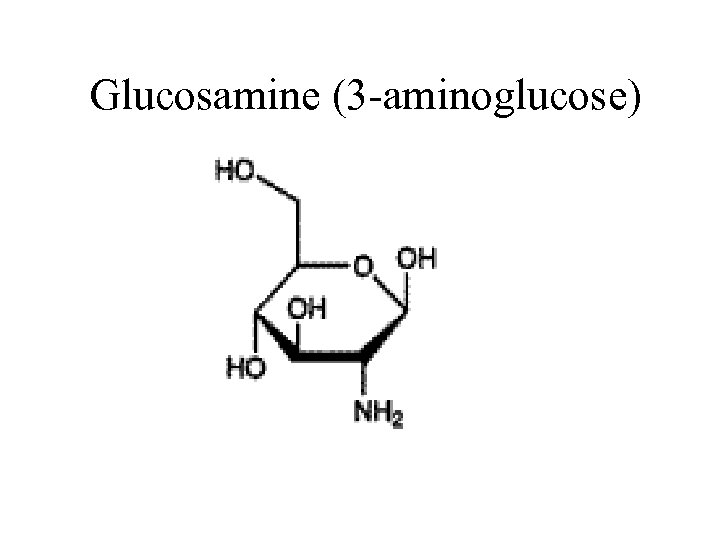  Glucosamine (3 -aminoglucose) 