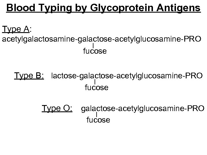 Blood Typing by Glycoprotein Antigens Type A: acetylgalactosamine-galactose-acetylglucosamine-PRO fucose Type B: lactose-galactose-acetylglucosamine-PRO fucose Type