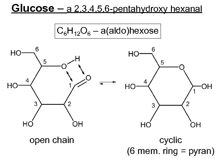 Glucose – a 2, 3, 4, 5, 6 -pentahydroxy hexanal C 6 H 12