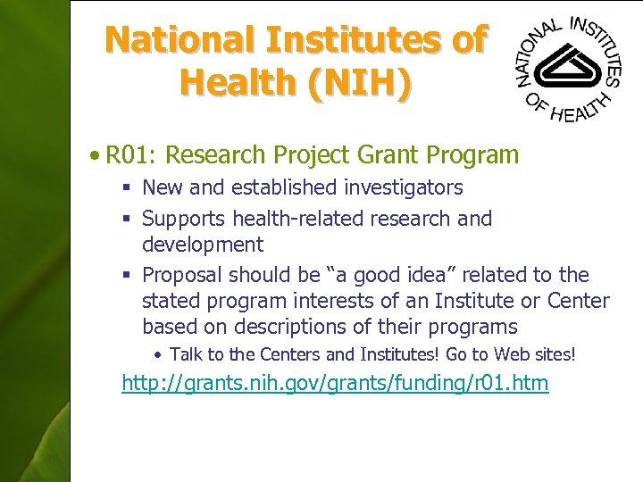 National Institutes of Health (NIH) • R 01: Research Project Grant Program § New