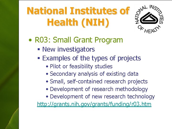 National Institutes of Health (NIH) • R 03: Small Grant Program § New investigators