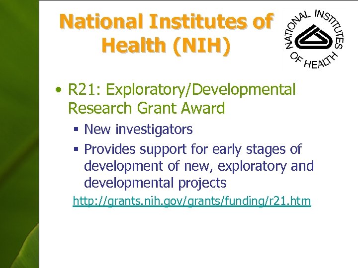 National Institutes of Health (NIH) • R 21: Exploratory/Developmental Research Grant Award § New