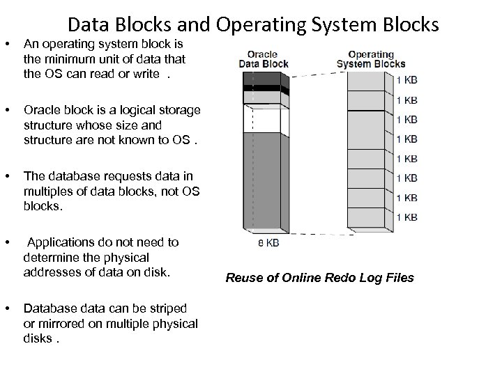 Data Blocks and Operating System Blocks • An operating system block is the minimum