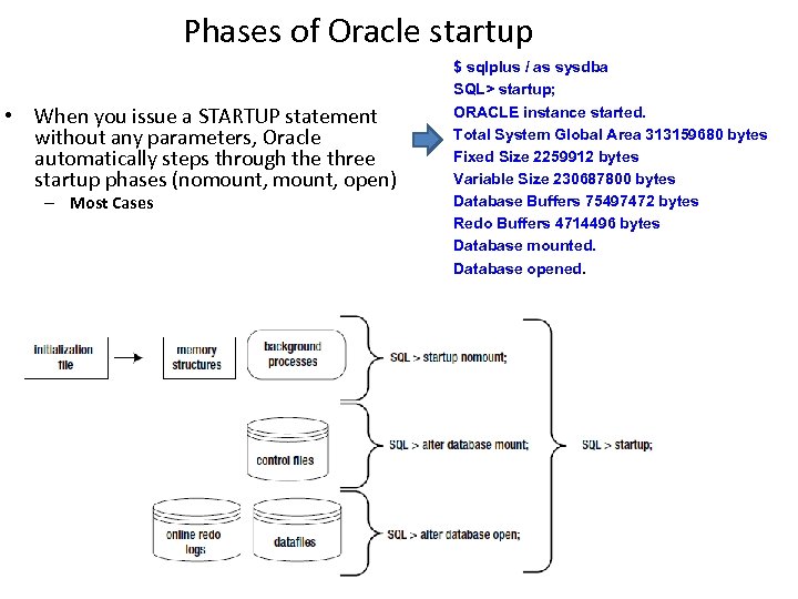 Phases of Oracle startup • When you issue a STARTUP statement without any parameters,