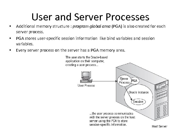 User and Server Processes • • • Additional memory structure : program global area