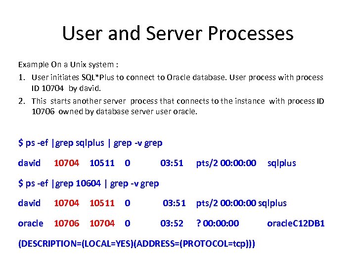 User and Server Processes Example On a Unix system : 1. User initiates SQL*Plus