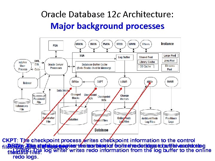 Oracle Database 12 c Architecture: Major background processes CKPT: The checkpoint process writes checkpoint