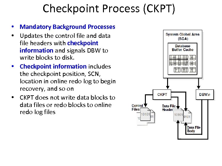 Checkpoint Process (CKPT) • Mandatory Background Processes • Updates the control file and data