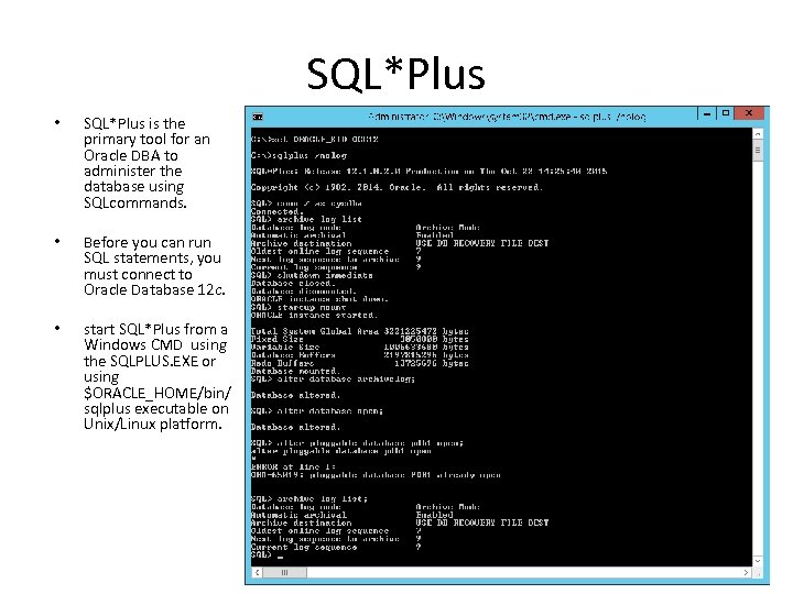 SQL*Plus • SQL*Plus is the primary tool for an Oracle DBA to administer the