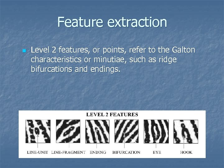 Feature extraction n Level 2 features, or points, refer to the Galton characteristics or