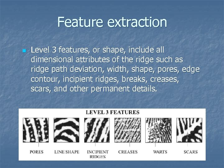 Feature extraction n Level 3 features, or shape, include all dimensional attributes of the