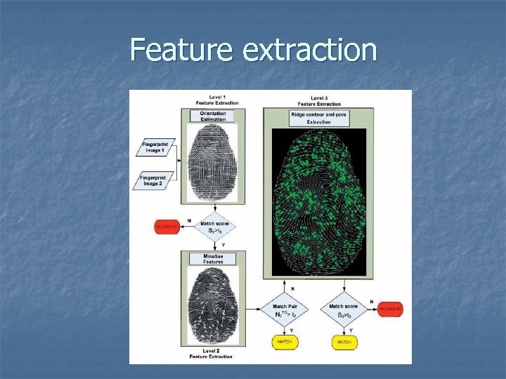 Feature extraction 