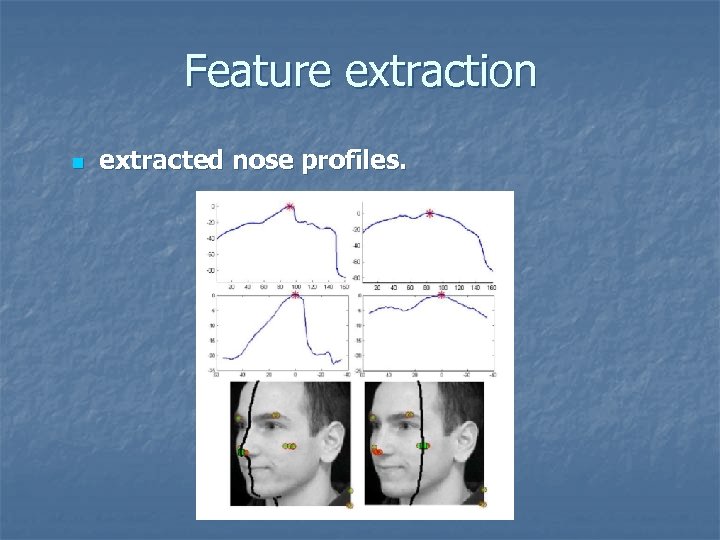 Feature extraction n extracted nose profiles. 