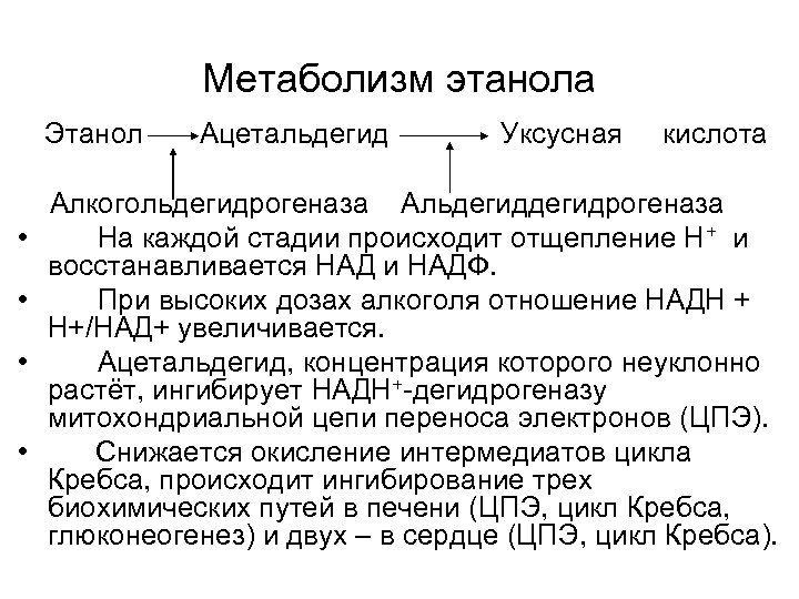 Метаболизм этанола Этанол Ацетальдегид Уксусная кислота Алкогольдегидрогеназа Альдегидрогеназа • На каждой стадии происходит отщепление