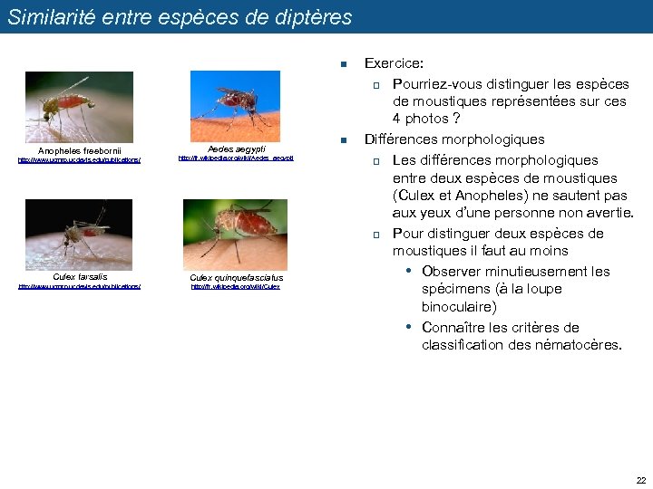 Similarité entre espèces de diptères n Anopheles freebornii Aedes aegypti http: //www. ucmrp. ucdavis.