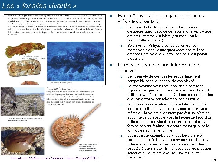 Les « fossiles vivants » n Harun Yahya se base également sur les «