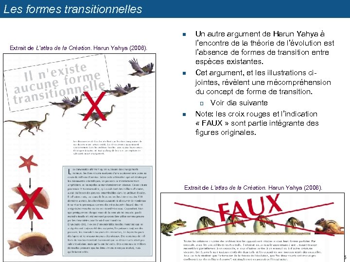 Les formes transitionnelles n Extrait de L’atlas de la Création. Harun Yahya (2006). n