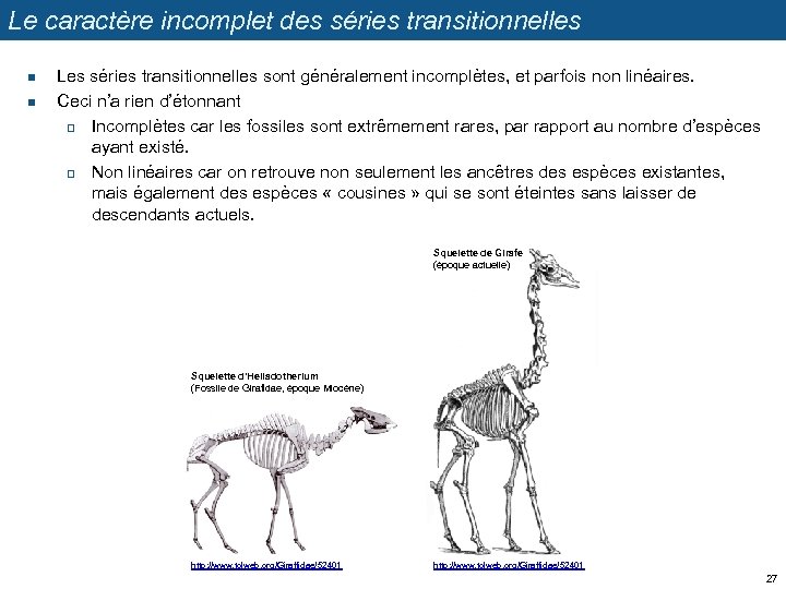 Le caractère incomplet des séries transitionnelles n n Les séries transitionnelles sont généralement incomplètes,