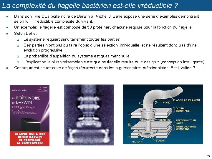 La complexité du flagelle bactérien est-elle irréductible ? n n Dans son livre «