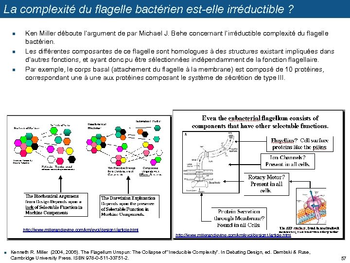 La complexité du flagelle bactérien est-elle irréductible ? n n n Ken Miller déboute