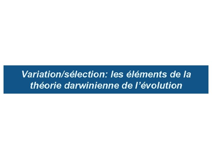 Variation/sélection: les éléments de la théorie darwinienne de l’évolution 