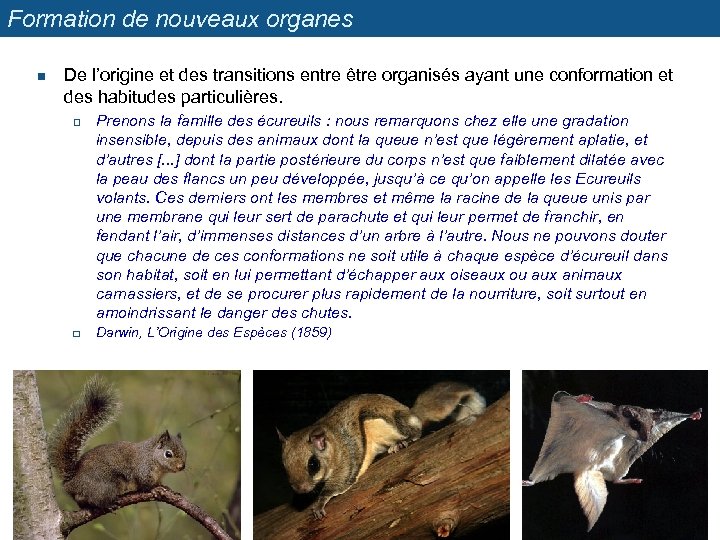 Formation de nouveaux organes n De l’origine et des transitions entre être organisés ayant