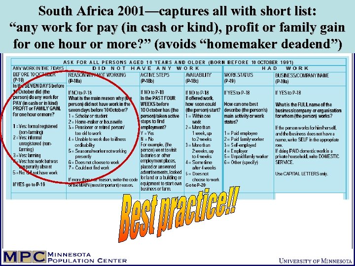 South Africa 2001—captures all with short list: “any work for pay (in cash or