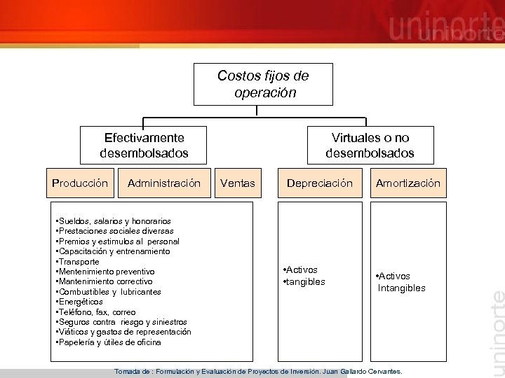  Costos fijos de operación Efectivamente desembolsados Producción Administración • Sueldos, salarios y honorarios