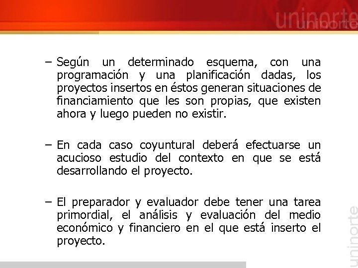 – Según un determinado esquema, con una programación y una planificación dadas, los proyectos