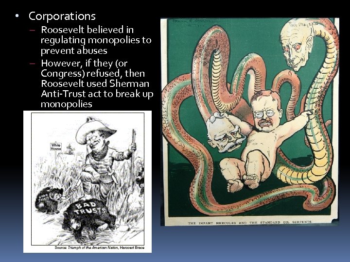  • Corporations – Roosevelt believed in regulating monopolies to prevent abuses – However,