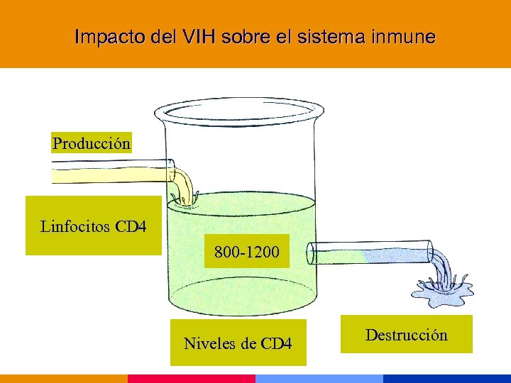 Impacto del VIH sobre el sistema inmune Producción Linfocitos CD 4 800 -1200 Niveles