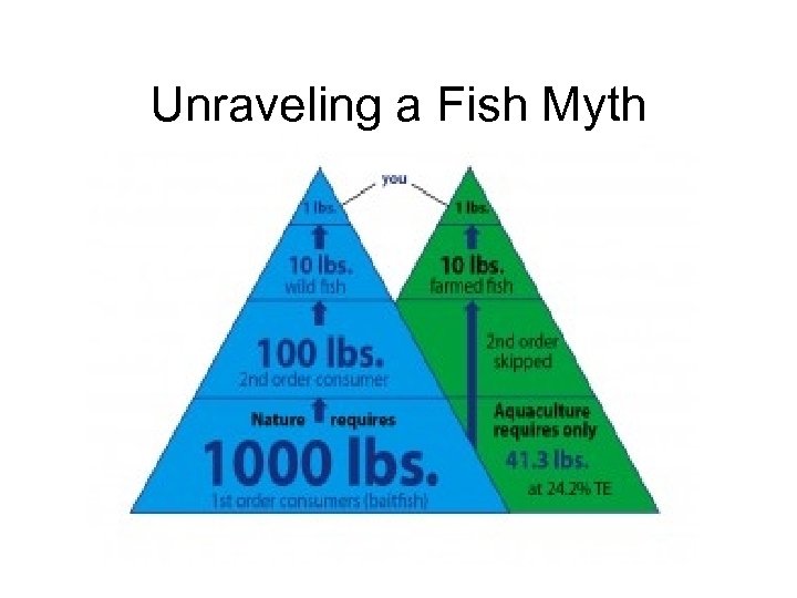 Unraveling a Fish Myth 