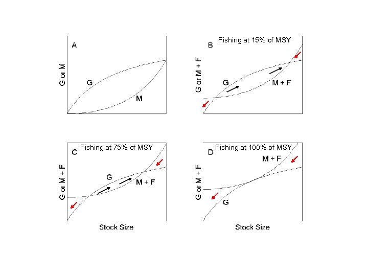 Fishing at 15% of MSY Fishing at 75% of MSY Fishing at 100% of