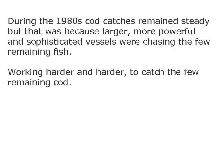 During the 1980 s cod catches remained steady but that was because larger, more