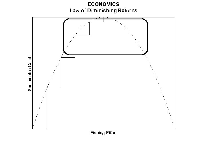 ECONOMICS Law of Diminishing Returns 