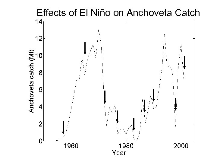 Effects of El Niño on Anchoveta Catch 