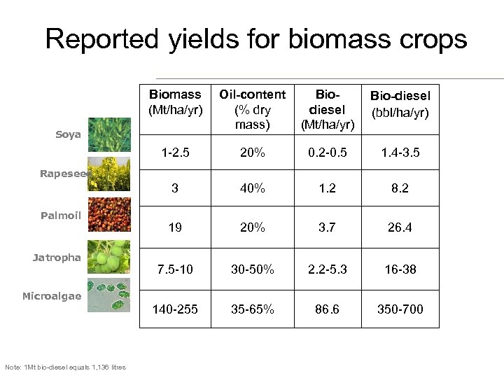 Reported yields for biomass crops Biomass (Mt/ha/yr) Oil-content (% dry mass) Biodiesel (Mt/ha/yr) Bio-diesel