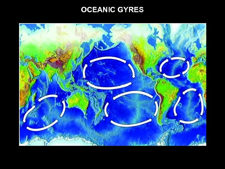 OCEANIC GYRES 