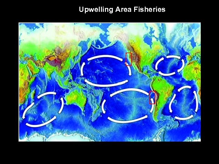 Upwelling Area Fisheries 