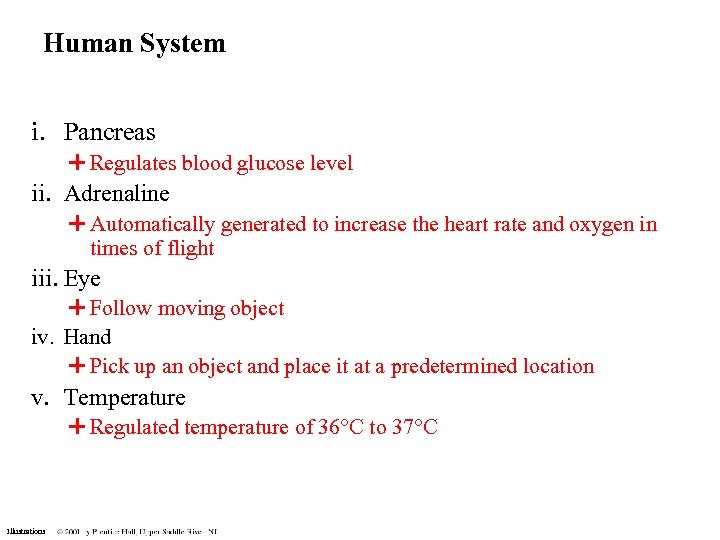 Human System i. Pancreas Regulates blood glucose level ii. Adrenaline Automatically generated to increase