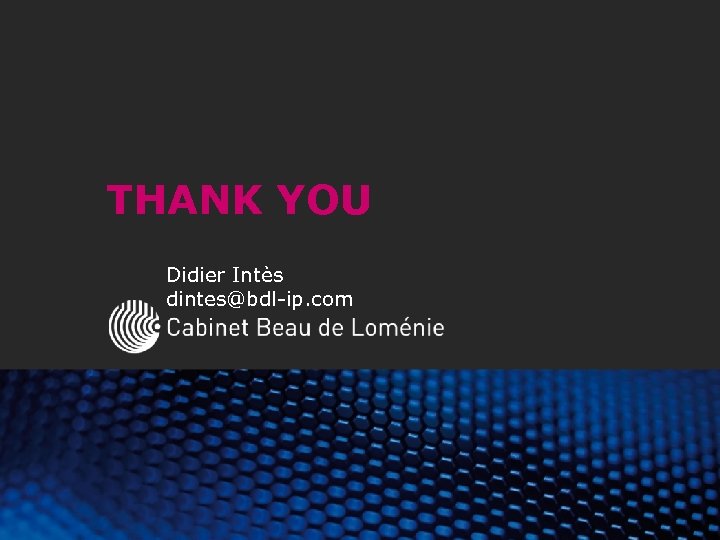 THANK YOU Didier Intès dintes@bdl-ip. com 