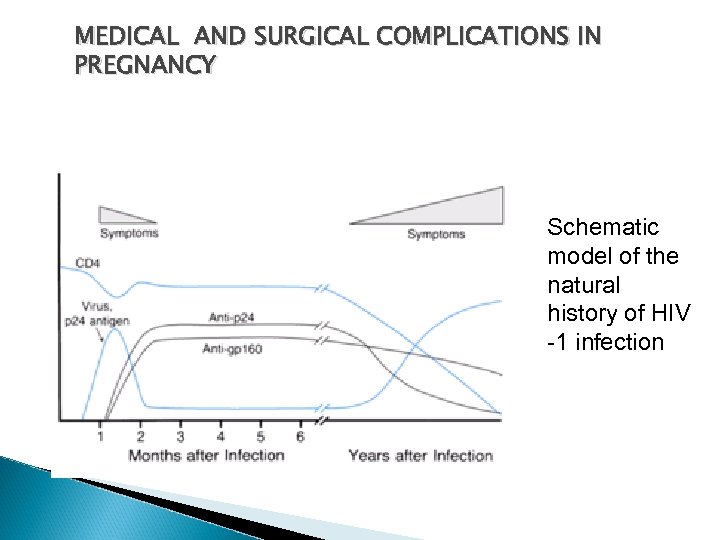 MEDICAL AND SURGICAL COMPLICATIONS IN PREGNANCY Schematic model of the natural history of HIV