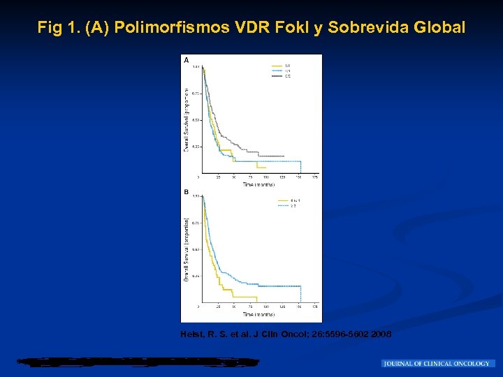 Fig 1. (A) Polimorfismos VDR Fok. I y Sobrevida Global Heist, R. S. et