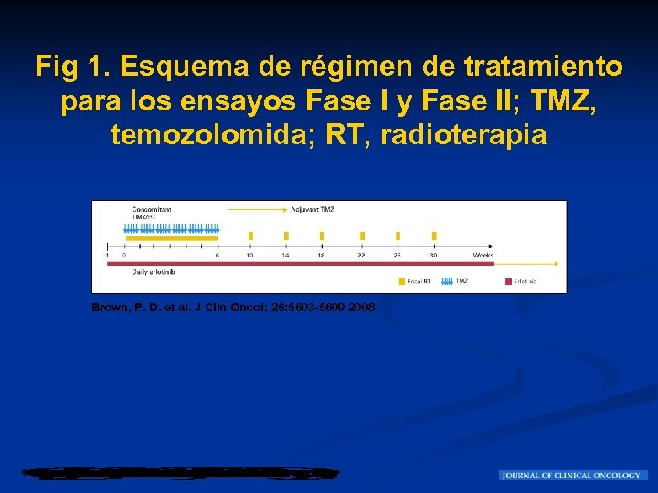 Fig 1. Esquema de régimen de tratamiento para los ensayos Fase I y Fase