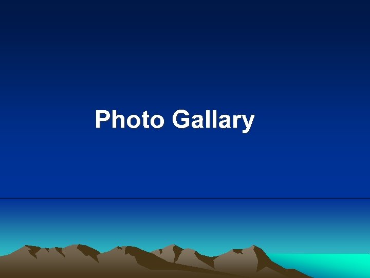 Photo Gallary 