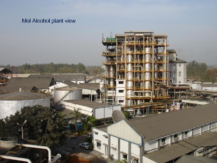 Mol Alcohol plant view 