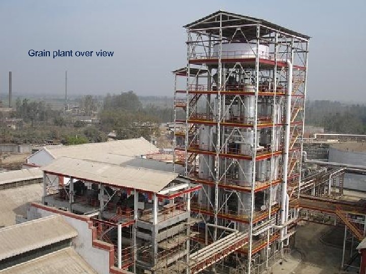 Grain plant over view 