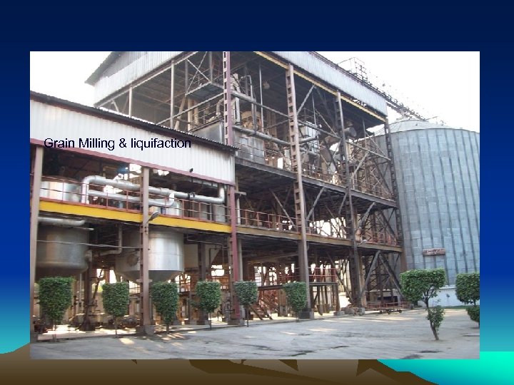 Grain Milling & liquifaction 