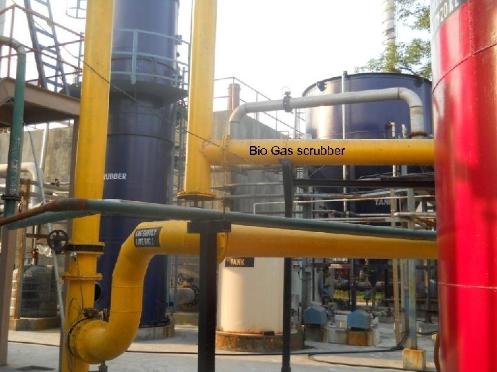 Bio Gas scrubber 